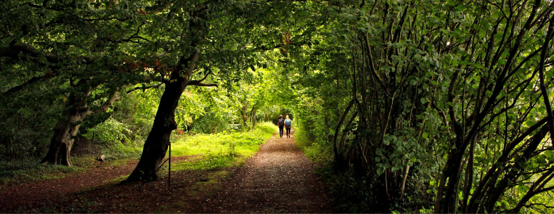 Two Brockwood Park School walking surrounded by rich foliage and tall trees