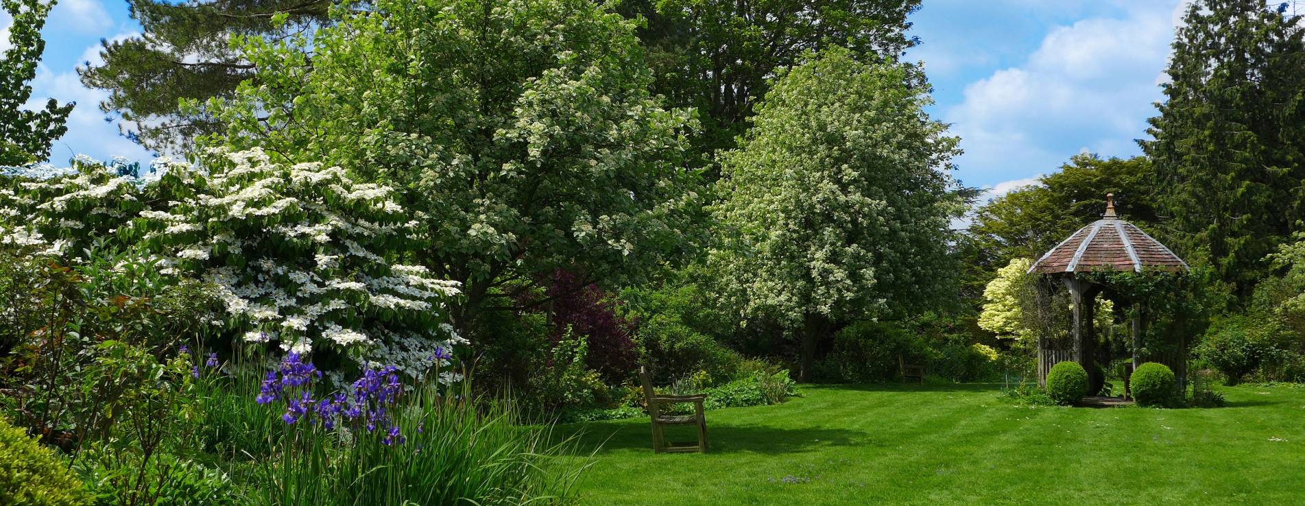 A broad view of the rose garden at Brockwood Park