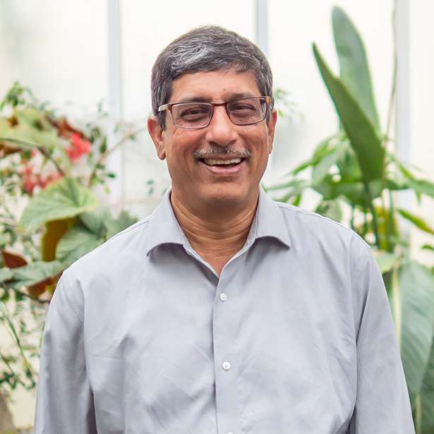 Portrait photo of Abhijit Padte, Maths Teacher at Brockwood Park School