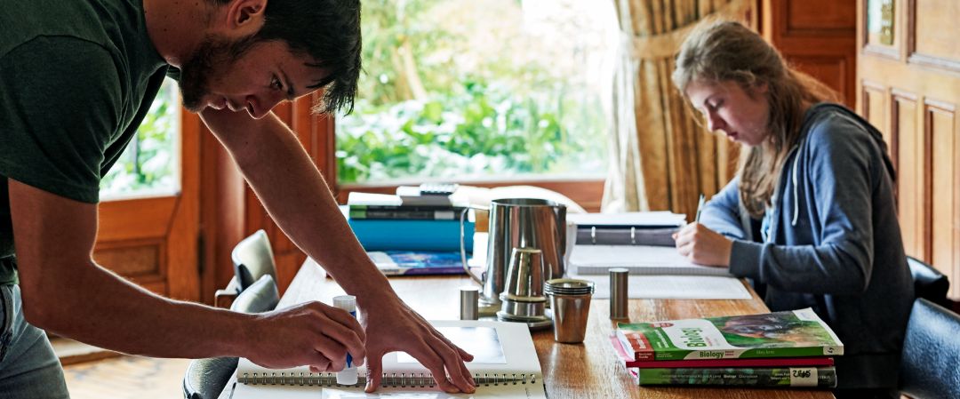 Two students at Brockwood Park School busy studying