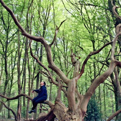 Brockwood Park School - Nature - A student sitting on a large tree