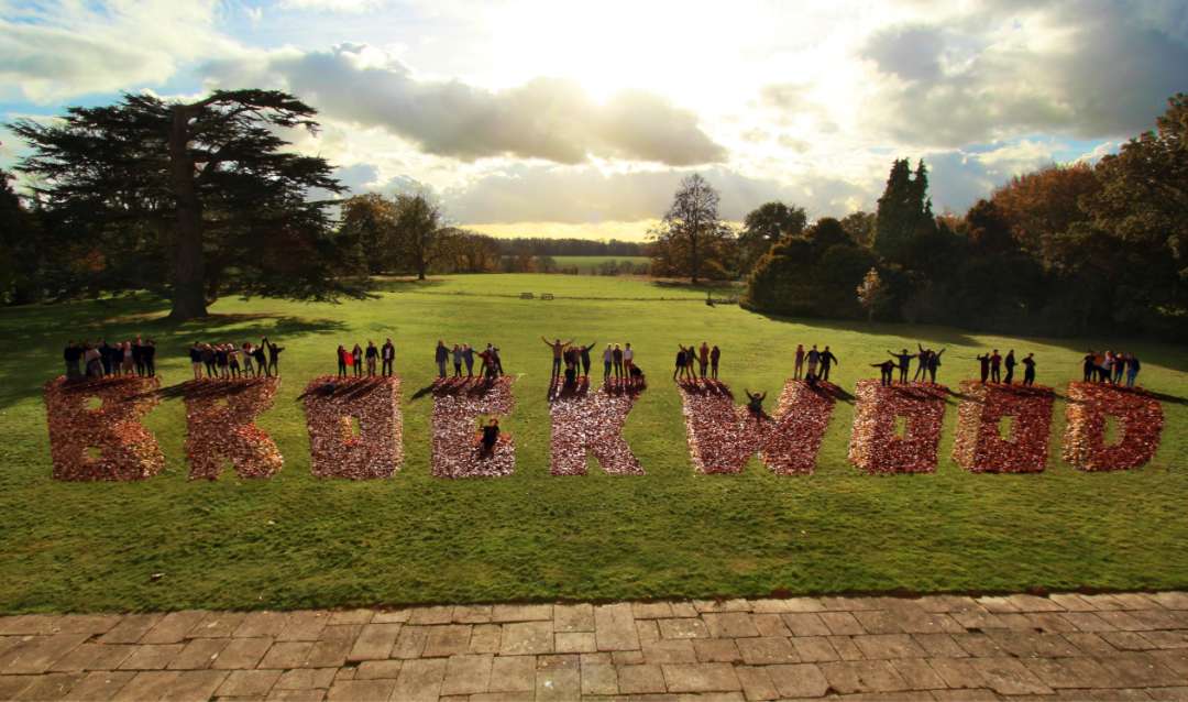 Aerial view of Brockwood Park School's south lawn, with an optical illusion made with leaves by Brockwood Park School students