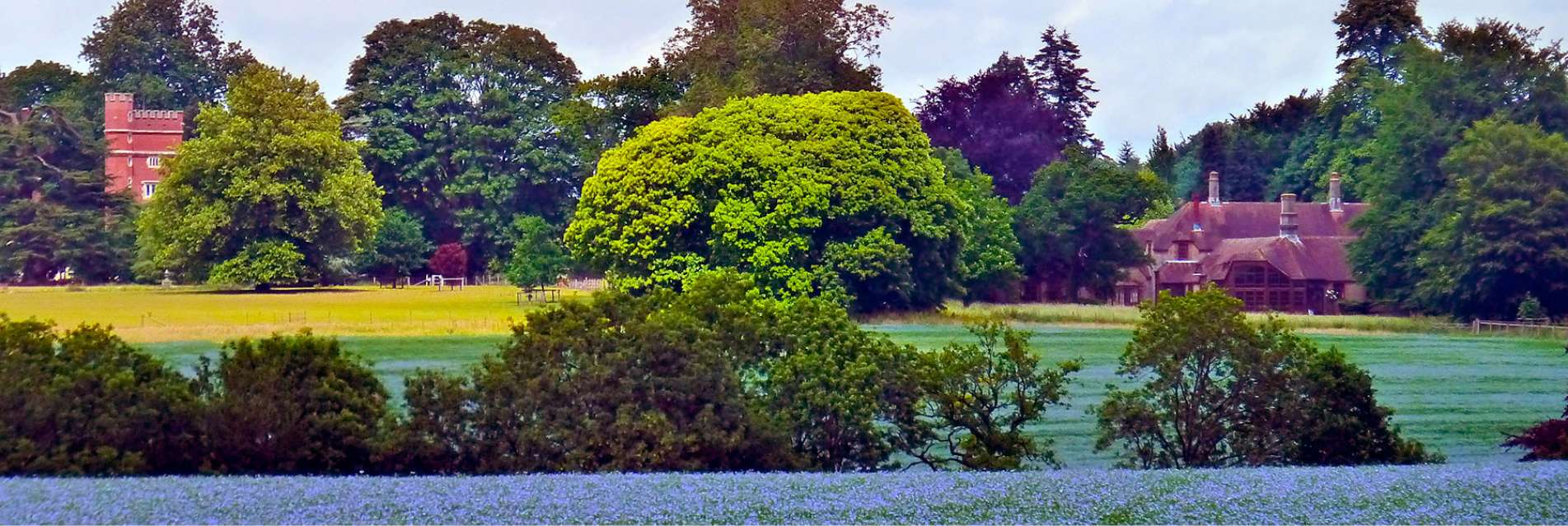 A view of Brockwood Park, in Hampshire UK, rich in flowers and trees 