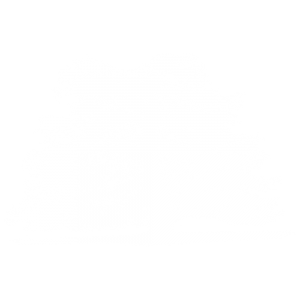 A white tree, the logo of Brockwood Park School